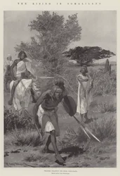 The Rising in Somaliland